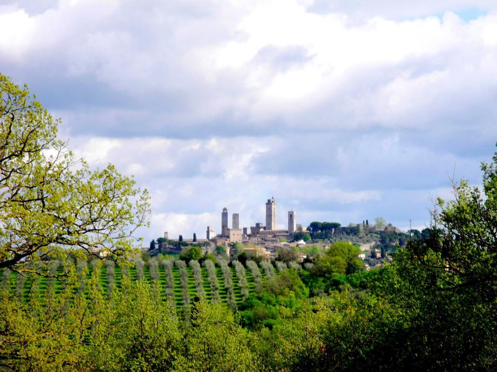 Le Renaie San Gimignano