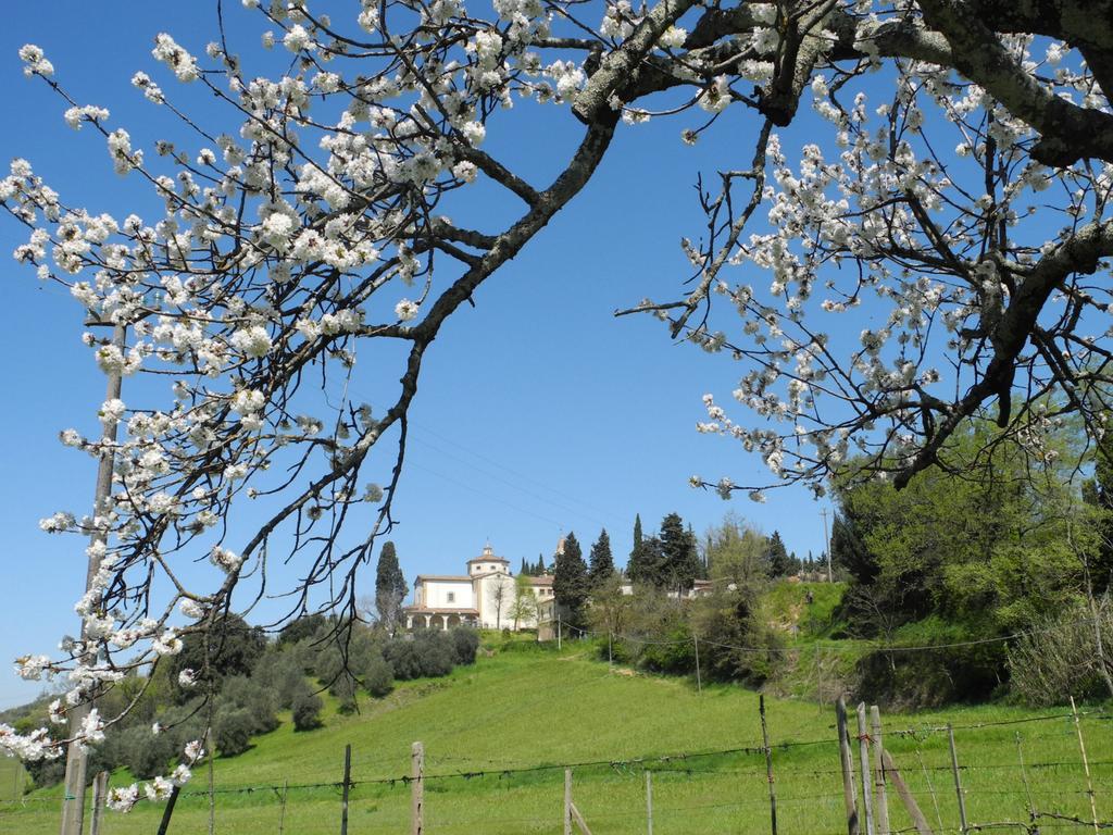 Le Renaie San Gimignano